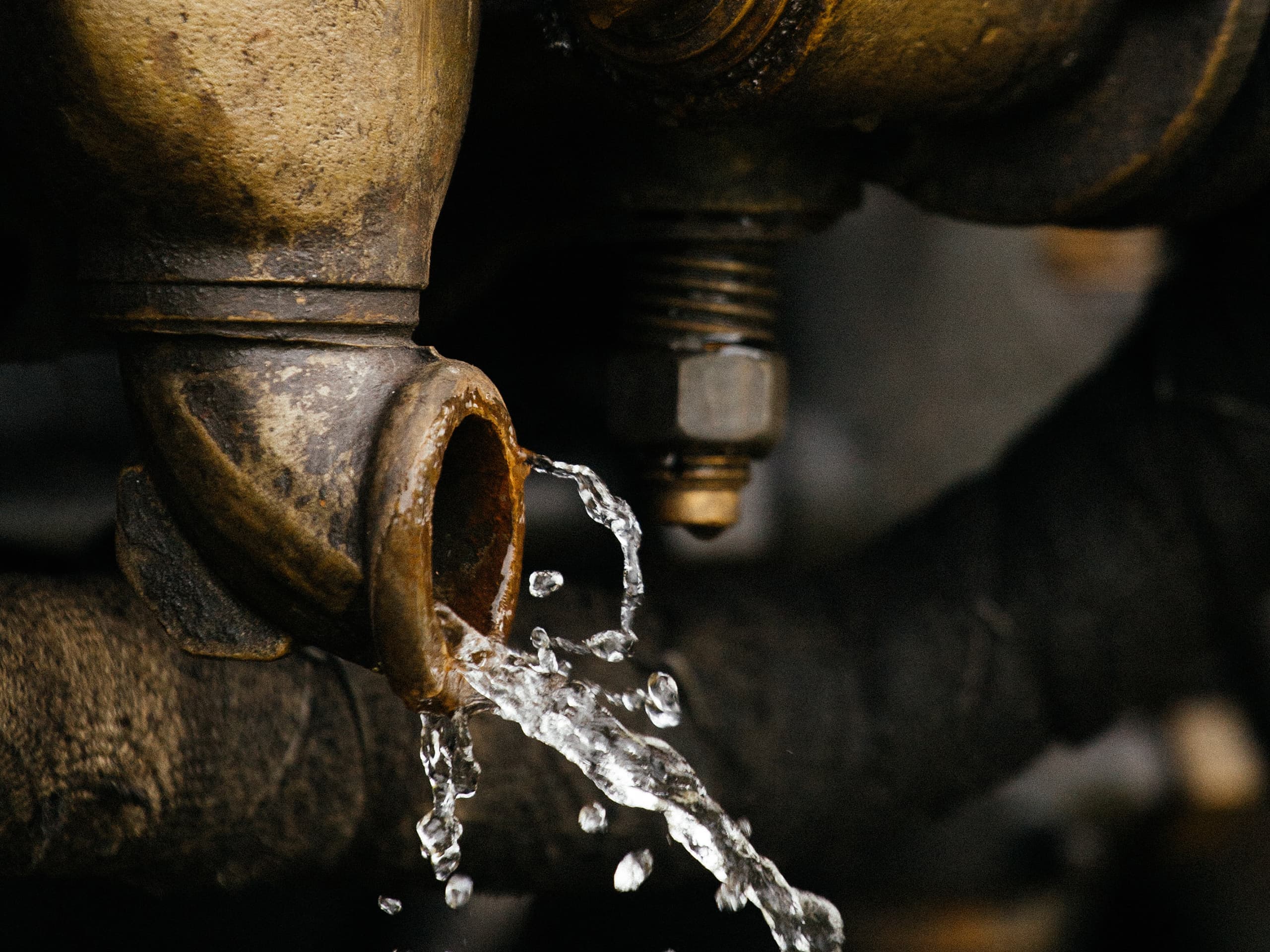 Unternehmen Historie Daume