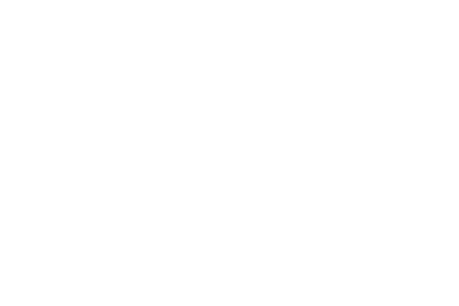ELRO in Leinefelde-Worbis Kontakt Logo